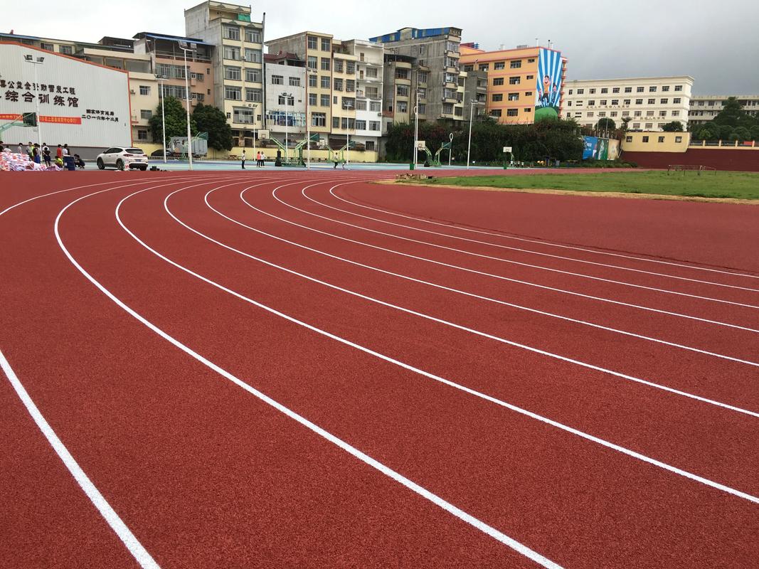 拉萨市EPDM颗粒塑胶跑道材料 - 厂家